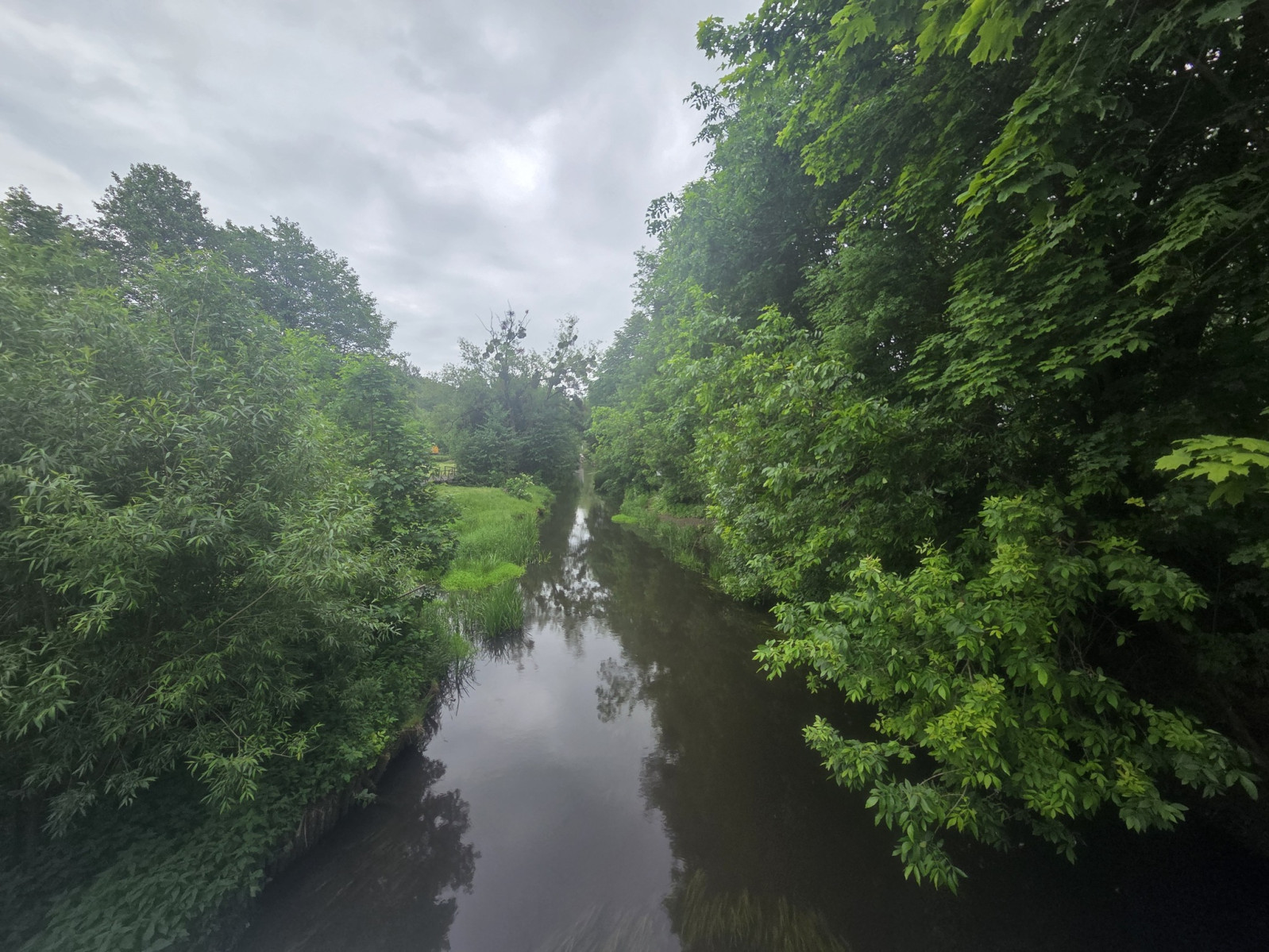 Lokal Sprzedaż Michalów