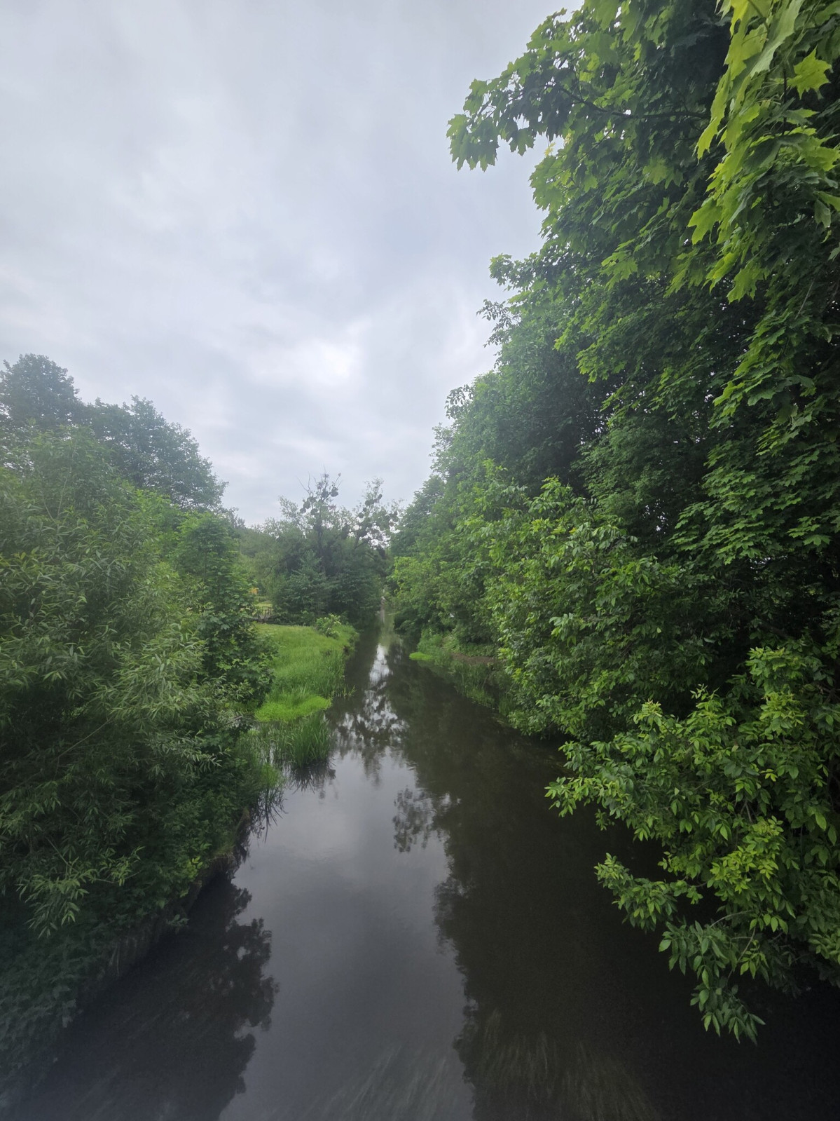 Lokal Sprzedaż Michalów