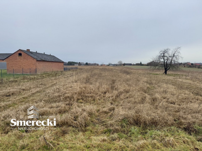 Działka Sprzedaż Pachnowola 8