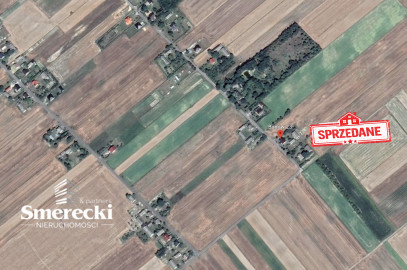 Działka Sprzedaż Bonów