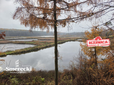 Działka Sprzedaż Wielobycz