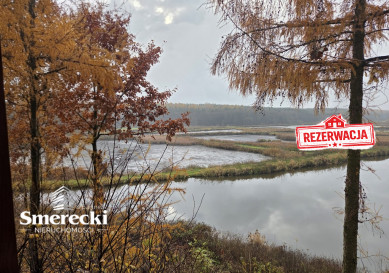 Działka Sprzedaż Wielobycz