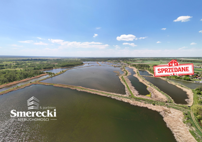 Dom Sprzedaż Wola Blizocka 35