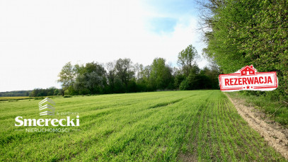 Dom Sprzedaż Olszanka
