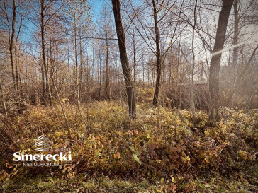 Działka Sprzedaż Majdan Zahorodyński