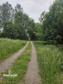 Magazyn Sprzedaż Michalów