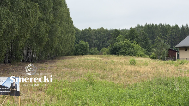 Działka Sprzedaż Korytków Duży 2