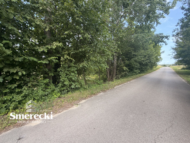 Działka Sprzedaż Wereszcze Duże 3