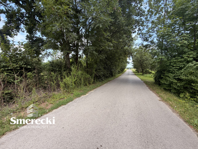 Działka Sprzedaż Wereszcze Duże 1
