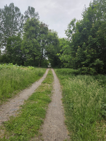Lokal Sprzedaż Michalów 10