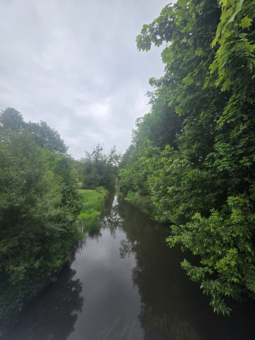 Lokal Sprzedaż Michalów 11