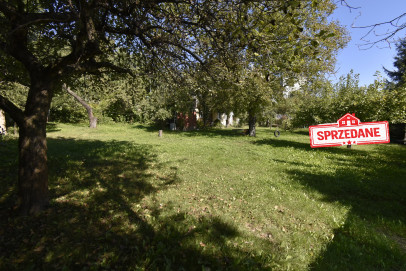 Mieszkanie Sprzedaż  Centrum Wapienna