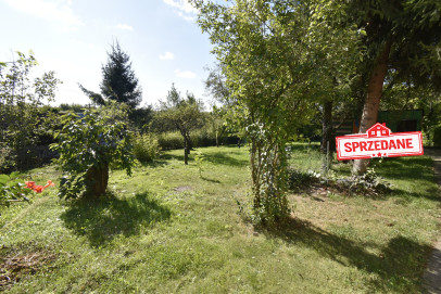 Mieszkanie Sprzedaż  Centrum Wapienna