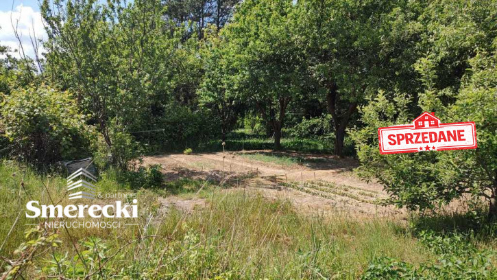 Działka Sprzedaż Elizówka 3