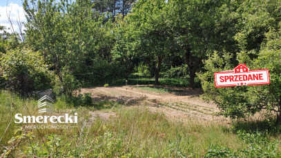 Działka Sprzedaż Elizówka