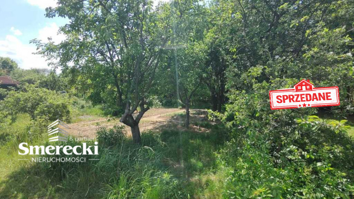 Działka Sprzedaż Elizówka 4