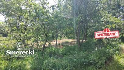 Działka Sprzedaż Elizówka